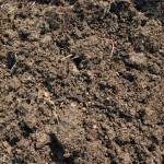 compost pile