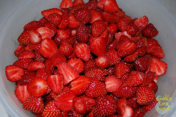 fresh-picked strawberries