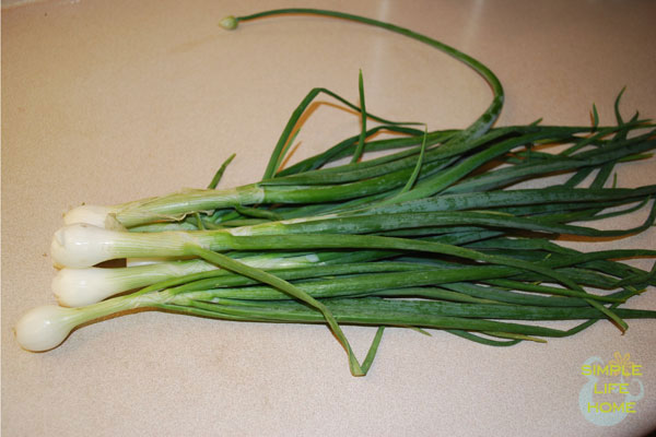How to Freeze Green Onions