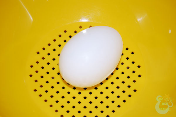 Place egg in colander