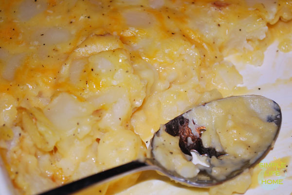 creamy potato casserole close up