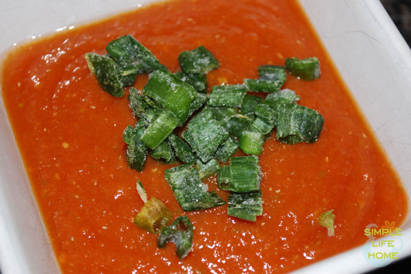 Homemade salsa with green onions