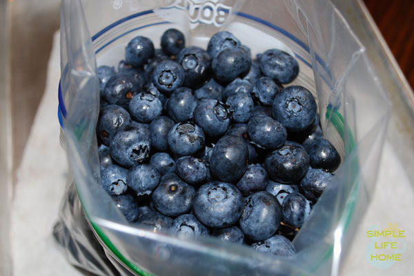 How to Freeze Blueberries