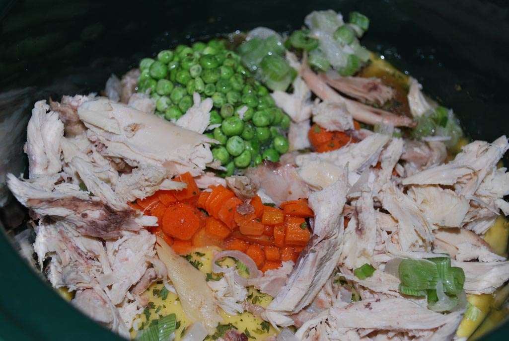 Crock-Pot Chicken & Dumplings