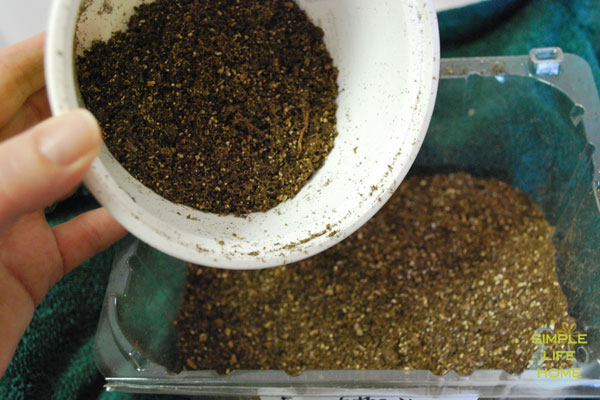 covering-seeds