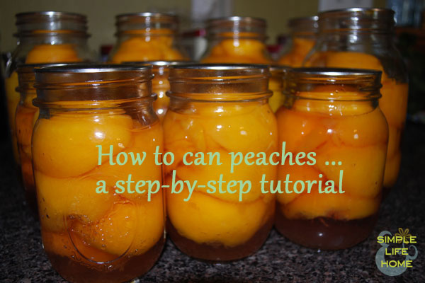How to Can Peaches