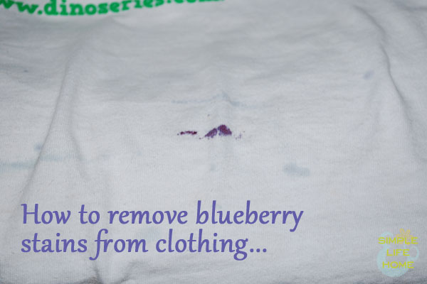 how to remove blueberry stains from clothing